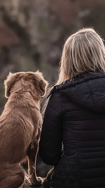 The Beacon Dog Academy